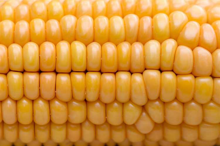 Вопросы о Кукуруза