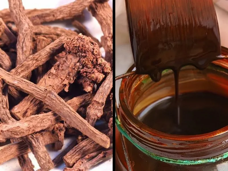 От корней к краскам: Как марена красильная изменила мою жизнь и мое искусство