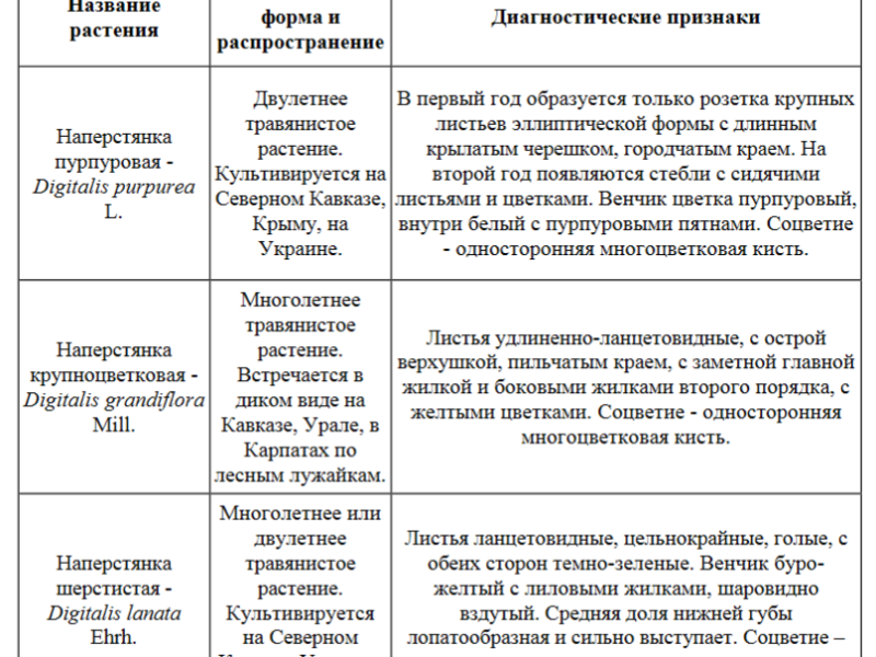 Вопросы о Наперстянка крупноцветковая — основные черты и особенности растения, методы разведения и ухода